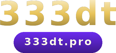 333dt logo